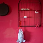 - Il Colle Di Sotto
