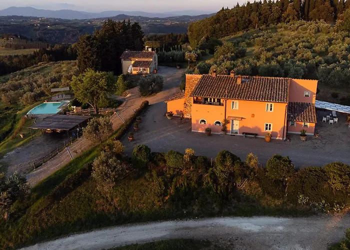 - Il Colle Di Sotto